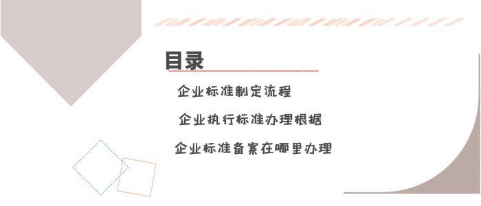 企業(yè)執(zhí)行標準去哪里辦理？可以線上辦理嗎？