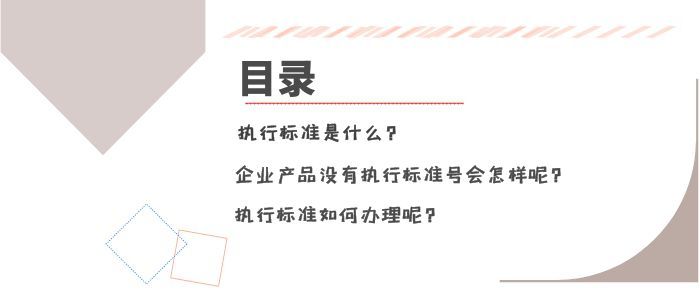 執(zhí)行標準是什么呢？如何辦理執(zhí)行標準呢？