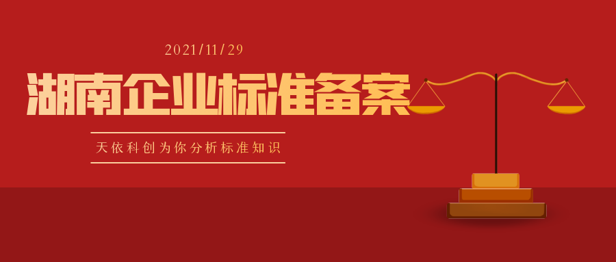 湖南企業(yè)執(zhí)行標(biāo)準(zhǔn)備案怎么做？