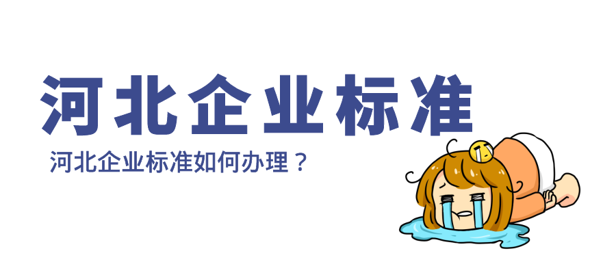 河北企業(yè)標(biāo)準(zhǔn)如何辦理？