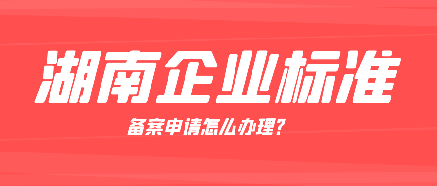 湖南企業(yè)標(biāo)準(zhǔn)備案申請?jiān)趺崔k理？